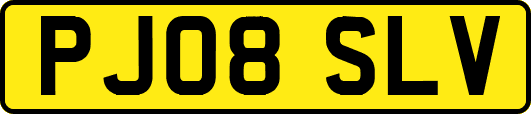 PJ08SLV