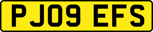 PJ09EFS