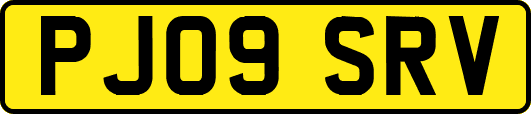 PJ09SRV