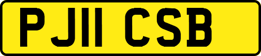 PJ11CSB