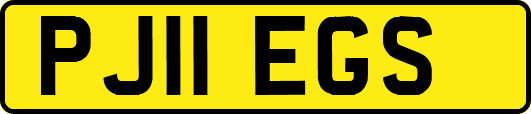 PJ11EGS
