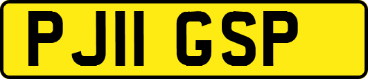 PJ11GSP