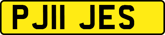 PJ11JES