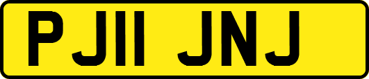 PJ11JNJ
