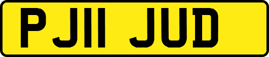 PJ11JUD