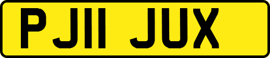 PJ11JUX