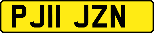 PJ11JZN
