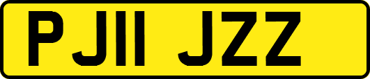 PJ11JZZ