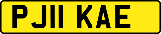 PJ11KAE