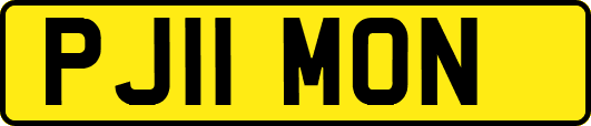 PJ11MON