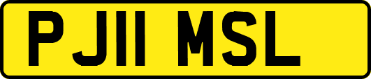PJ11MSL