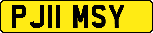 PJ11MSY