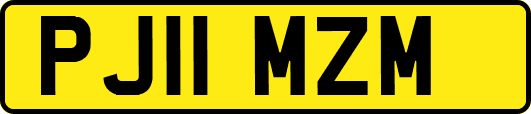 PJ11MZM