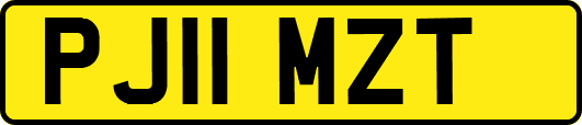 PJ11MZT