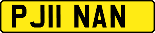PJ11NAN