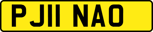PJ11NAO