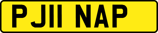 PJ11NAP