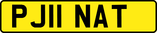 PJ11NAT