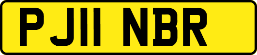 PJ11NBR