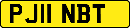 PJ11NBT