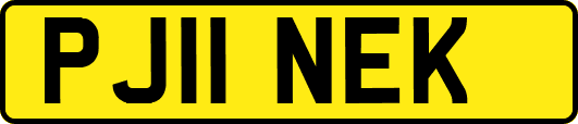 PJ11NEK
