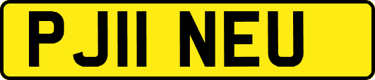 PJ11NEU