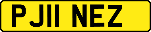 PJ11NEZ