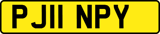 PJ11NPY