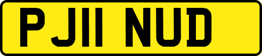 PJ11NUD
