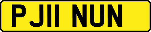 PJ11NUN