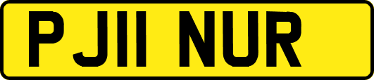 PJ11NUR