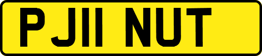 PJ11NUT