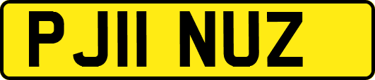PJ11NUZ