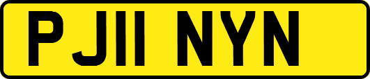 PJ11NYN