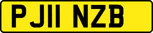 PJ11NZB