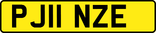 PJ11NZE