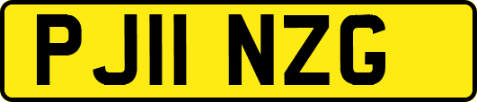 PJ11NZG