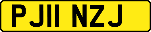 PJ11NZJ