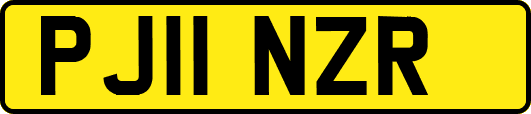 PJ11NZR