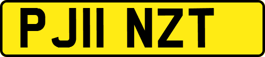 PJ11NZT