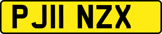 PJ11NZX