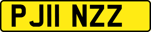 PJ11NZZ