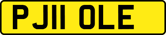PJ11OLE