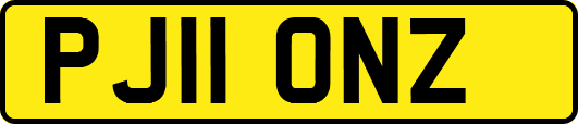 PJ11ONZ