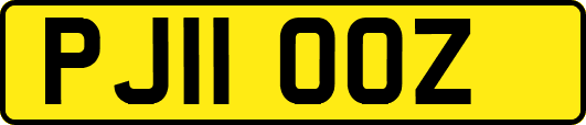 PJ11OOZ