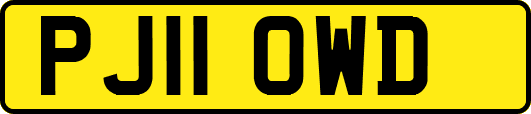 PJ11OWD