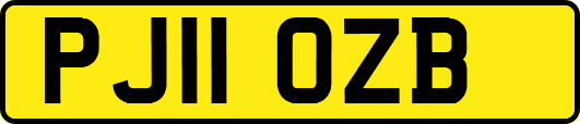 PJ11OZB