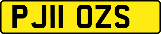 PJ11OZS
