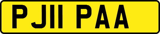 PJ11PAA