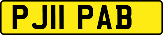 PJ11PAB